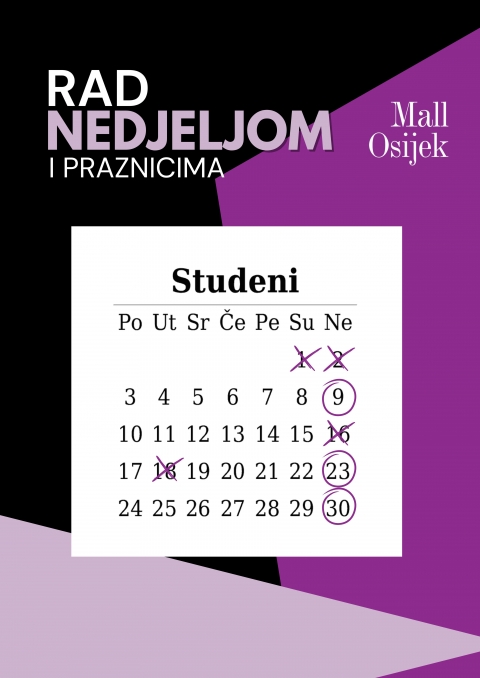 Radno vrijeme studeni 2025.